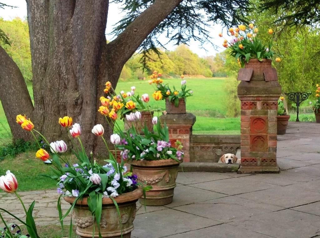 Bed and Breakfast Hambledon House Godalming Exterior foto